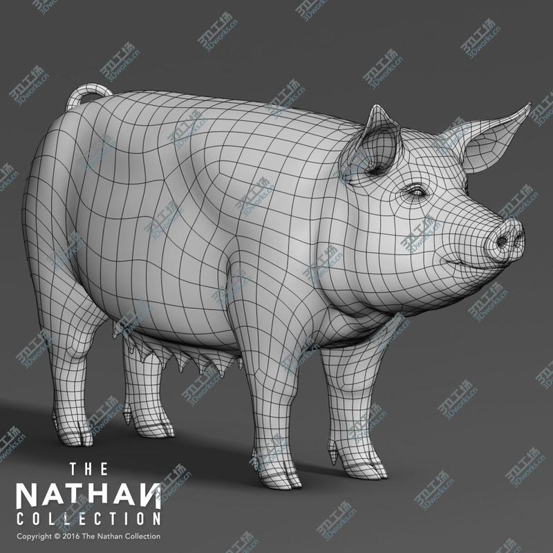 images/goods_img/2021040234/Pig Adult Female (with Fur)/4.jpg